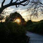 Kevin Perrone - @perronekj - Instagram