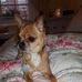 Kevin Perry - Facebook