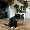 kevin..perry - @kevin..perry - TikTok