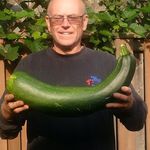 Kevin Petrie - @kevin.petrie.5895 - Instagram