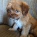 Kevin Petrie - Facebook