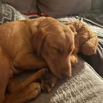 Kevin Petrie - @petrie5449 - Instagram
