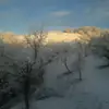kevin petro - @kevin.petro - TikTok