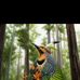 Kevin Phares - Facebook