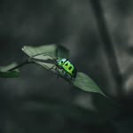 Kevin_Photography - @kevin__photog - Instagram