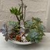 Kevin Phu - Facebook