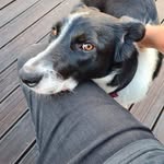 Kevin Place - @strangerthames - Instagram