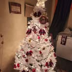 Kevin Poh - Facebook
