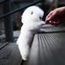Kevin Pohl - Facebook