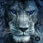 Kevin.Pohl - @kevin.pohl.1 - Instagram