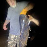 Kevin Polston - @kevin.polston.754 - Instagram