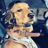 Solechicken72 - @kevin.poore - TikTok