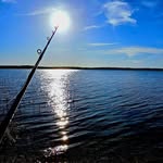 Kevin Prather - @collective_roots - Instagram