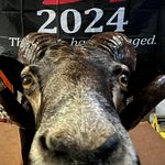 Kevin Preissler - @kevin.preissler.79 - Instagram