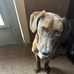 Kevin Presson-Gray - Facebook