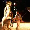 Kevin Probst - @kevinprobst0 - TikTok