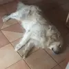 Kevin Probst - @kevin.probst406 - TikTok