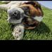 Kevin Recker - Facebook