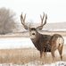 Kevin Reeg - Facebook