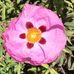 Kevin Repp - Facebook