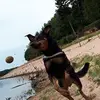 Kevin Krisner - @kevinkrisner - TikTok