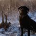 Kevin Rivard - Facebook
