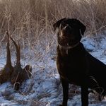 Kevin Rivard - @kevin.rivard.73 - Instagram