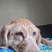 Kevin Rivard - Facebook