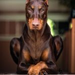 Kevin McEnroe Rockefeller - @kevinmcrooe - Instagram