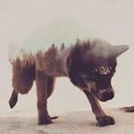 Kevin Rogge - @kevirog - Instagram