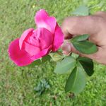Kevin Rommel - @kevin.rommel.9847 - Instagram