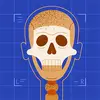 kevin romo - @kevin.romo2 - TikTok
