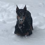 Kevin roop - @kevin_roopoor - Instagram