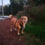 Kevin Roos - @kevinroos7 - Instagram