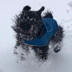 Kevin Root - @kevin.root.9 - Instagram