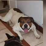 GioeleRossetti - @kevin.rossetti02 - Instagram
