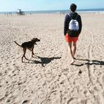 Kevin Rotenberg - @kevinroten - Instagram