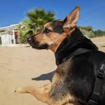 Kevin Runyan - @janjaysakita - Instagram