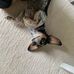 Kevin Rushlow - Facebook