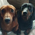 Kevin Rybak - @dunkelandtrinka - Instagram