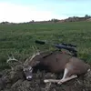 Kevin Salzman - @kevinsalzman - TikTok