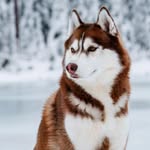 Kevin Samuelson - @ke.vin876 - Instagram