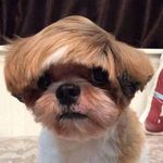Kevin Sandstrom - @kevinsstorm - Instagram