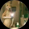 Kevin Saul - @kevin.saul80 - TikTok