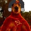 Kevin Saxe - @kevinsaxe1491 - TikTok