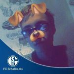 Kevin - @kevin___schalke - Instagram