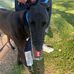 Kevin Schalk - Facebook