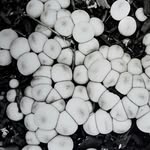 Kevin Schellinger - @kevinschellinger - Instagram