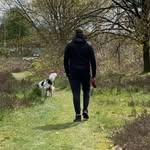 Kevin Schepers - @kevin_schepers_ - Instagram