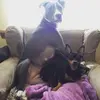 Kevin Schildt - @user560593207 - TikTok